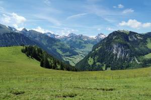 Wanderung Diemtigtal - Abendberg - Erlenbach