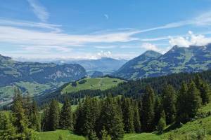 Wanderung Diemtigtal - Abendberg - Erlenbach