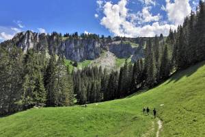 Wanderung Diemtigtal - Abendberg - Erlenbach