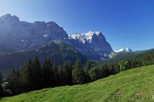 Wanderung Schwarzwaldalp - Breitenboden - Seilialp - Zwirgi