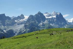 Wanderung Schwarzwaldalp - Breitenboden - Seilialp - Zwirgi