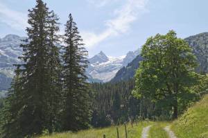 Wanderung Schwarzwaldalp - Breitenboden - Seilialp - Zwirgi