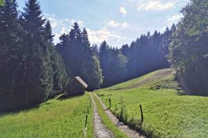 Wanderung Oberdiessbach - Falkenfluh - Fahrni/Lueg