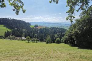 Wanderung Oberdiessbach - Falkenfluh - Fahrni/Lueg