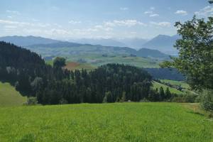 Wanderung Oberdiessbach - Falkenfluh - Fahrni/Lueg