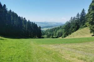 Wanderung Oberdiessbach - Falkenfluh - Fahrni/Lueg