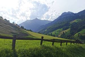 Weisstannental