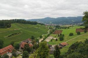 Wanderung Ettingen - Pfeffingen - Grellingen