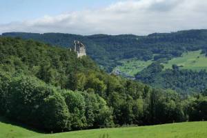 Burgruine Pfeffingen