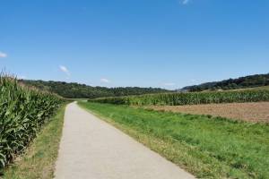 Veloweg Chevenez