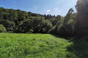 Hinter dem Wald liegt die Estavelle von Creugenat