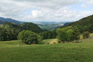 Wanderung Salhöhe - Geissflue - Froburg - Wisen SO