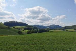 Wanderung Salhöhe - Geissflue - Froburg - Wisen SO