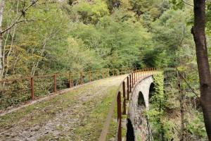 Altes Eisenbahntrassee