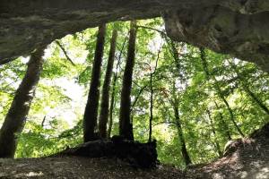 Höhle von Cottencher