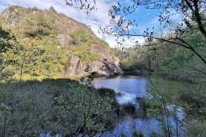 Waldseelein bei Arcegno