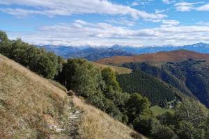 Monte Generoso Sentiero dell'orso