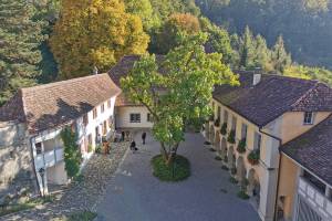 Teufenthal Schloss Liebegg