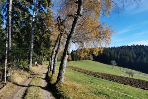 Hinter Scheidegg