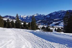 Winterwanderung Schönried - Rellerli - Hugeligrat