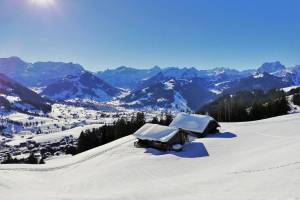 Winterwanderung Schönried - Rellerli - Hugeligrat