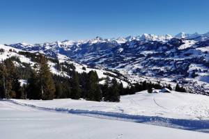 Winterwanderung Schönried - Rellerli - Hugeligrat