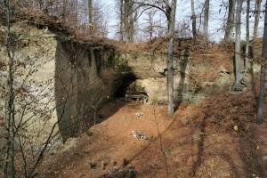 Sandsteingrube Ober Bockstein bei Aetigkofen