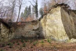 Sandsteingrube Ober Bockstein bei Aetigkofen