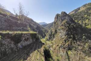 Weinberg Longeborgne Schlucht