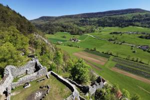 Ruine Neu Falkenstein