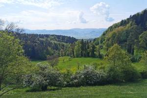 Aussicht vom Bergmattenhof