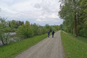 Reuss Uferweg bei Jonen