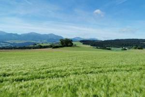 Wanderung Kapellenweg Hellbühl - Buttisholz - Ettiswil