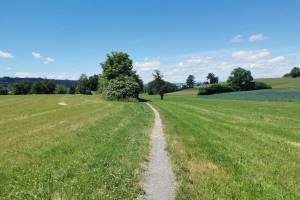 Wanderung Kapellenweg Hellbühl - Buttisholz - Ettiswil