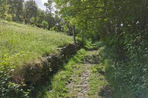 Wanderung Visperterminen - Oberstalden - Visp