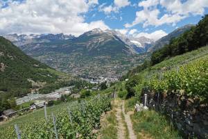 Wanderung Visperterminen - Oberstalden - Visp