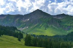 Tannhorn von Norden Wanderung Planalp-Wannenpass-Kemmeriboden