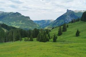 Tannigsboden Wanderung Planalp-Wannenpass-Kemmeriboden