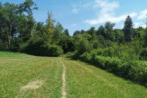 Wanderung Cugy - Bois du Jorat - Lausanne