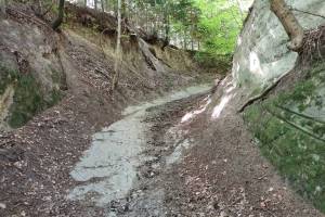 Hohlweg Wanderung Bäriswil - Sädelbachhüttli - Zollikofen