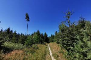 Wanderung Bäriswil - Sädelbachhüttli - Zollikofen