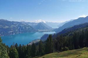 Thunersee Brienzersee Wanderung Aeschiried - Brunni - Leissigen