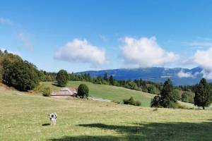 Wanderung Le Day - Romainmôtier - Croy