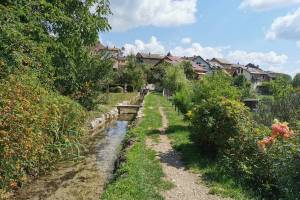 Wanderung Le Day - Romainmôtier - Croy