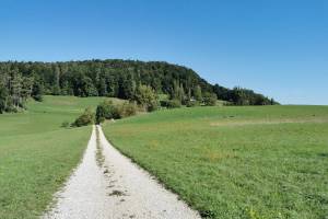 Wanderung Glattfelden - Paradiesgärtli - Eglisau