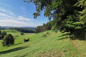 Wanderung Glattfelden - Paradiesgärtli - Eglisau