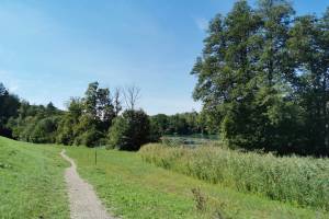 Rhein Wanderung Glattfelden - Paradiesgärtli - Eglisau