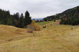 Moorlandschaft Mostelberg