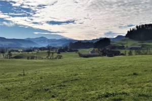 Bütschwil Wanderung Lütisburg-Bruedertöbeli-Dietfurt