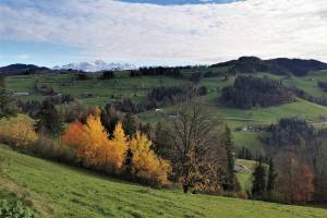 Geissberg Wanderung Lütisburg-Bruedertöbeli-Dietfurt